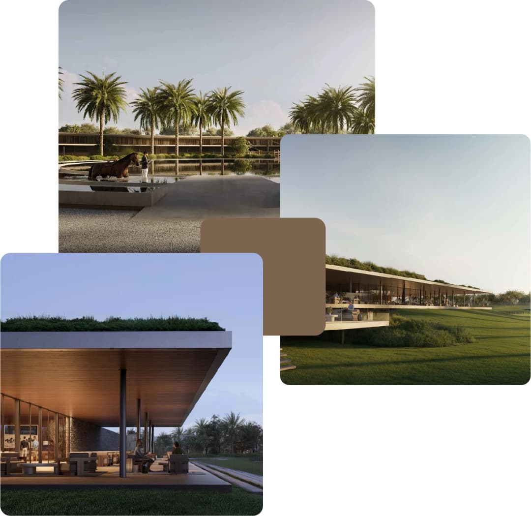 Equestrian club lounge, dining, and palm landscape