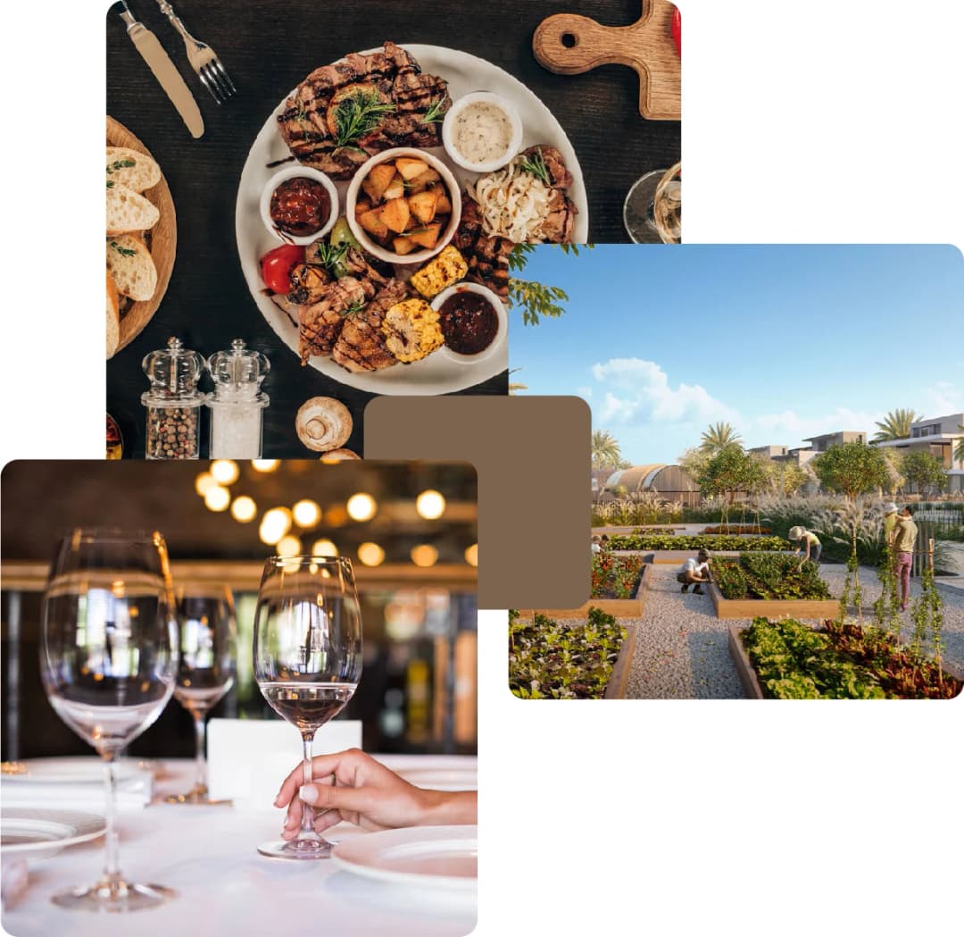 Dining, wine, and people gardening in sunlight