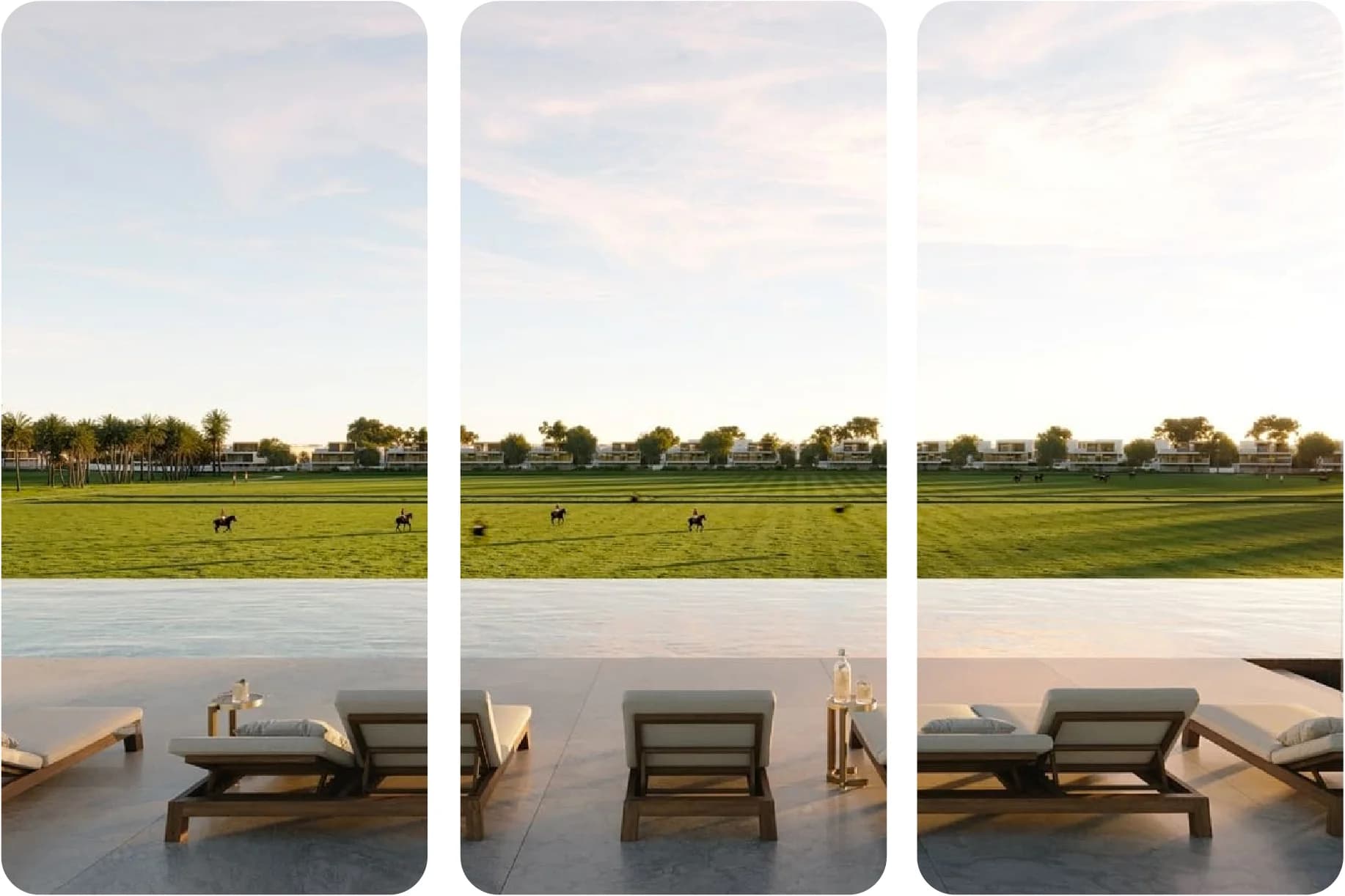 منظر بجانب المسبح لخيول تركض مع فلل حديثة