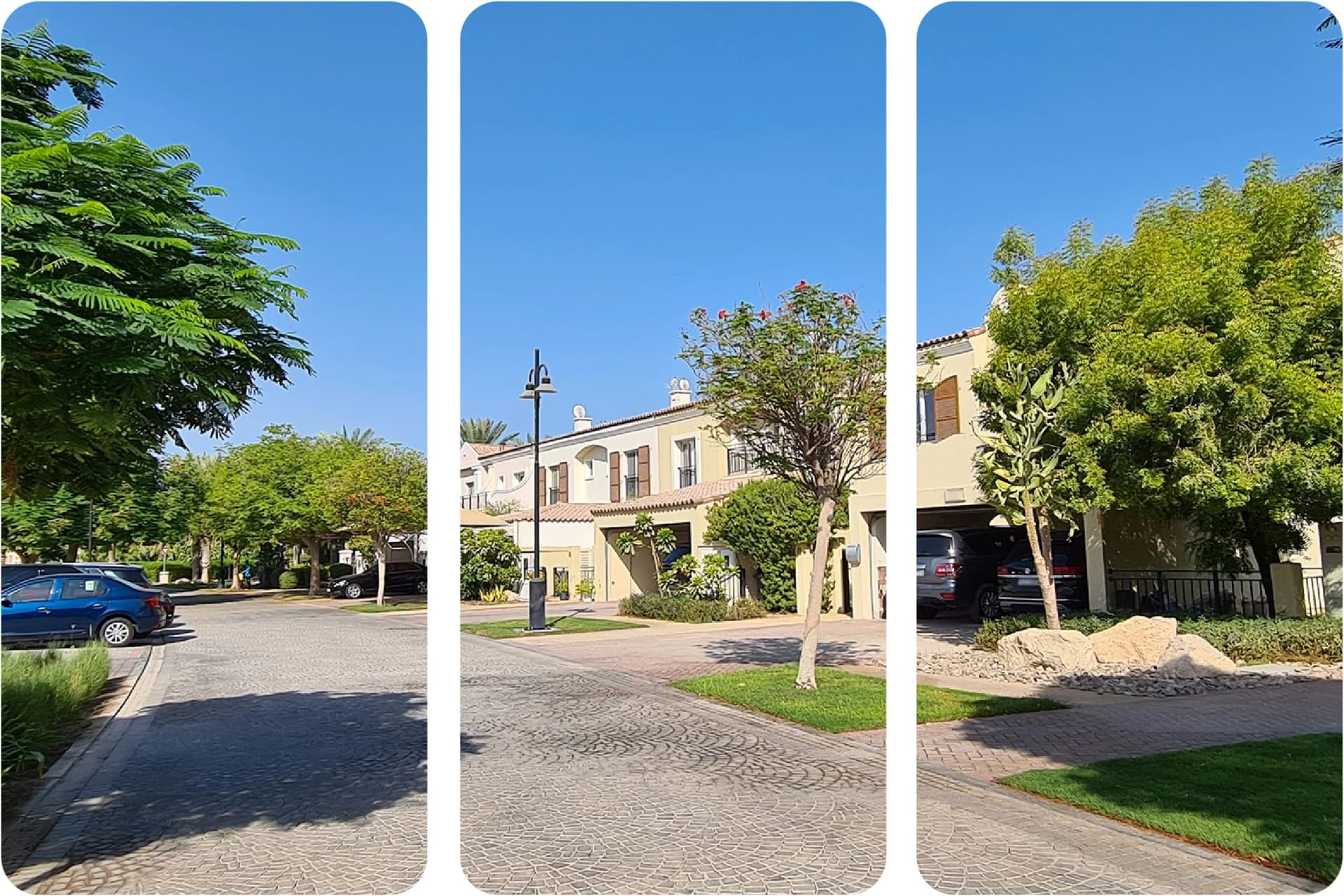 شارع سكني هادئ مع سيارات متوقفة