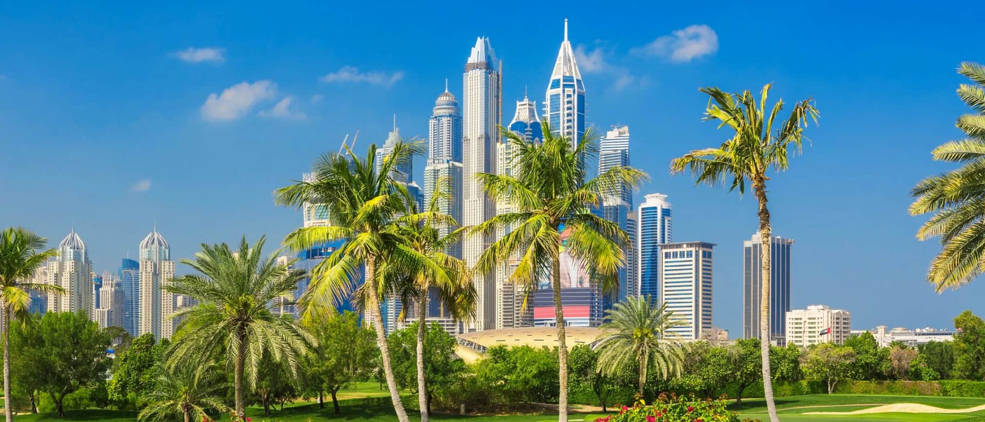 Dubai skyline with palm trees and lush green landscape