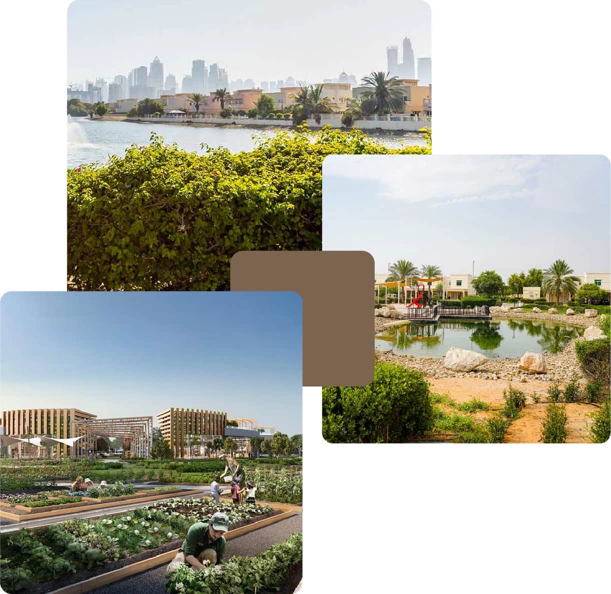 Waterfront view with lush greenery and modern buildings