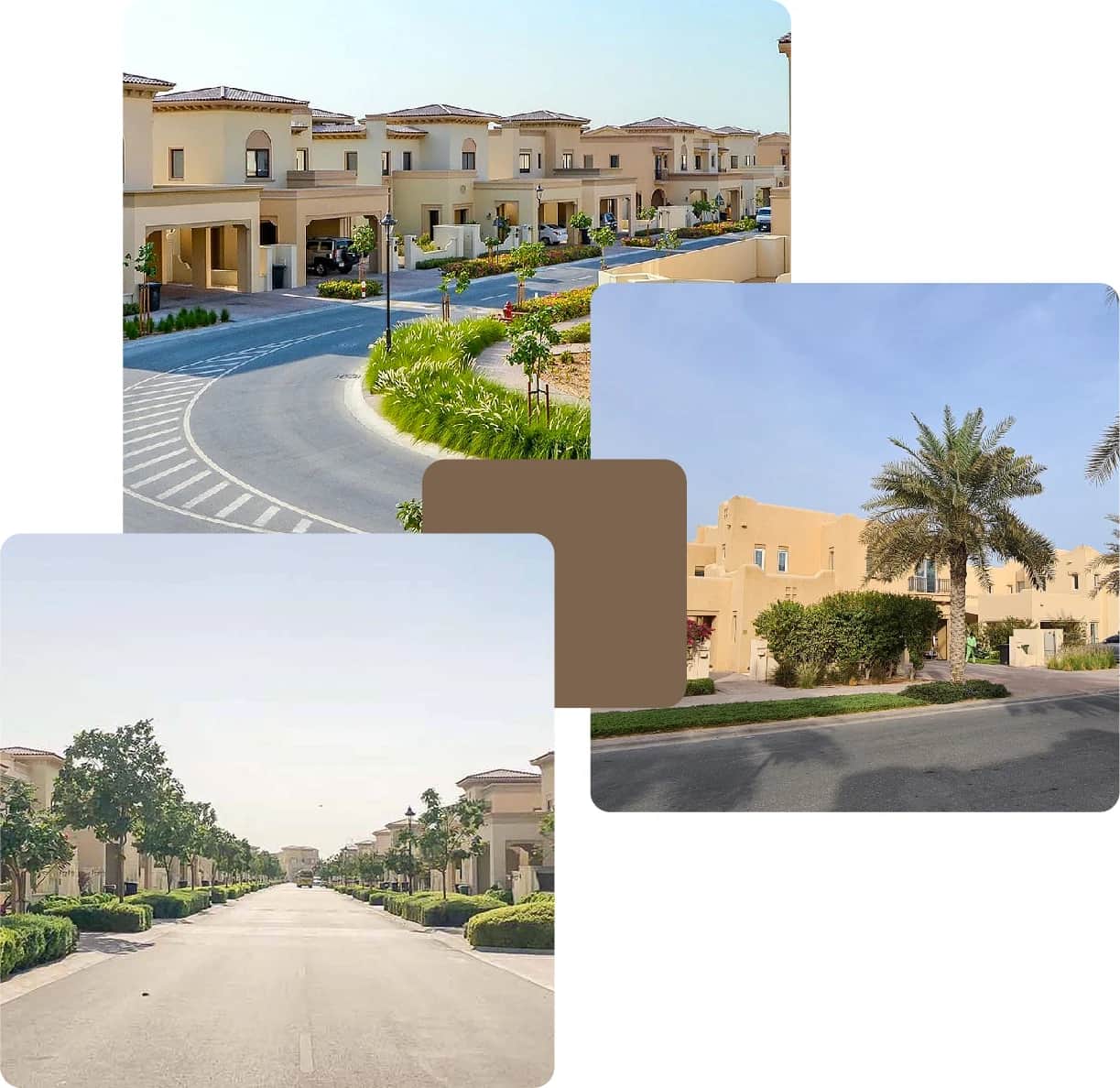 Peaceful residential street with modern homes
