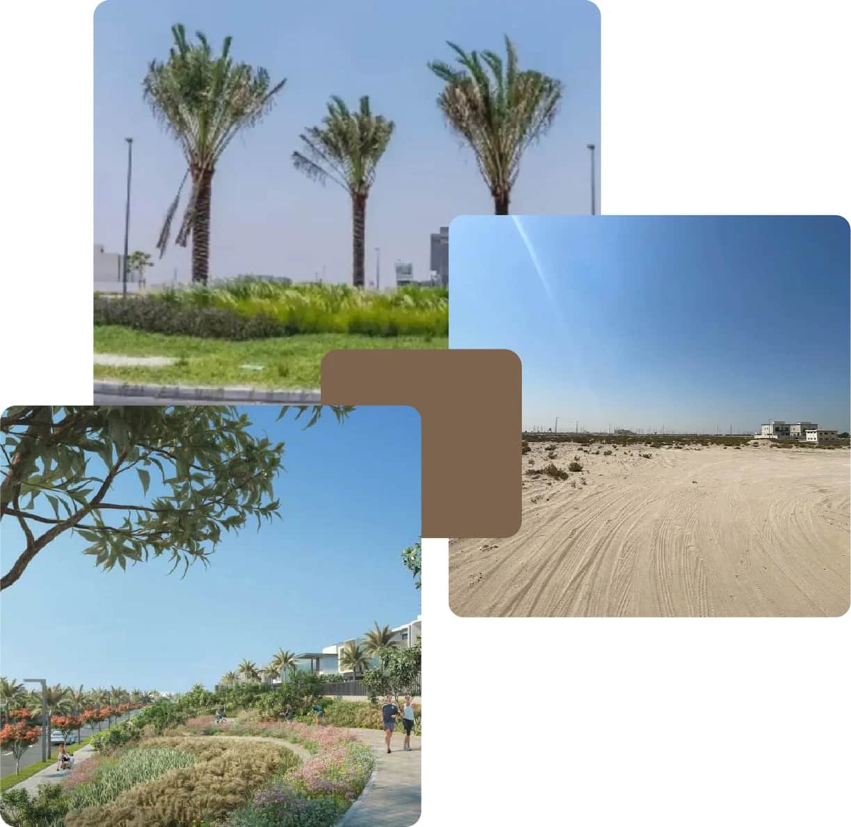 Palm trees, desert landscape, and lush green garden path