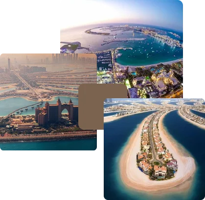 Financial-Overview-of-Palm-Jumeirah