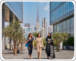 Dubai Business Environment