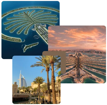 How Much Did the Palm-Jumeirah-Project-Cost?
