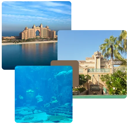 Discover-what-is-the-most-expensive-property-in-Palm-Jumeirah