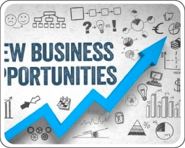 Business Opportunities 1