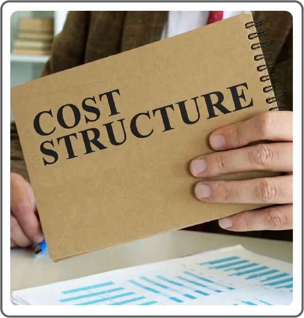 Diverse Cost Structure 1