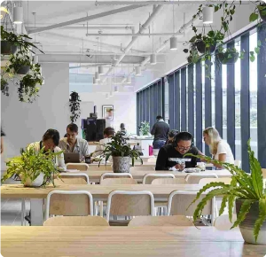 The best Co Living and Coworking Spaces in Dubai 1